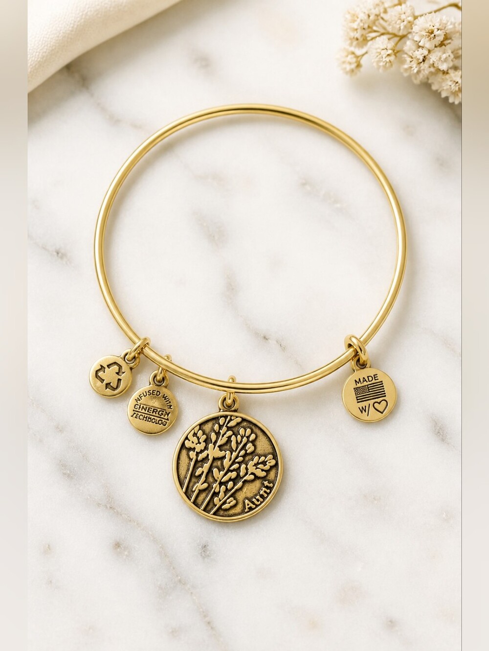 ALEX AND ANI AUNT Charm Bracelet GUC